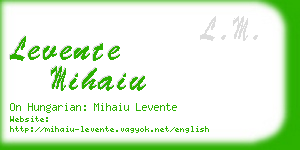 levente mihaiu business card